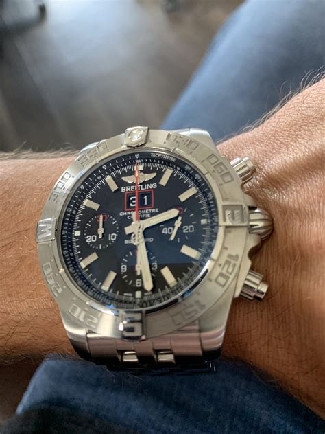 breitling blackbird reviews